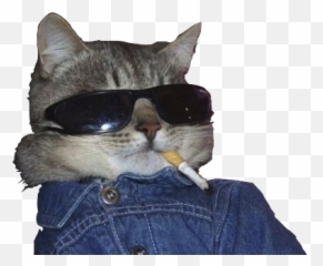 Cool Cat Psd Official Psds - Draw A Meme Cat Png,Cool Cat Png