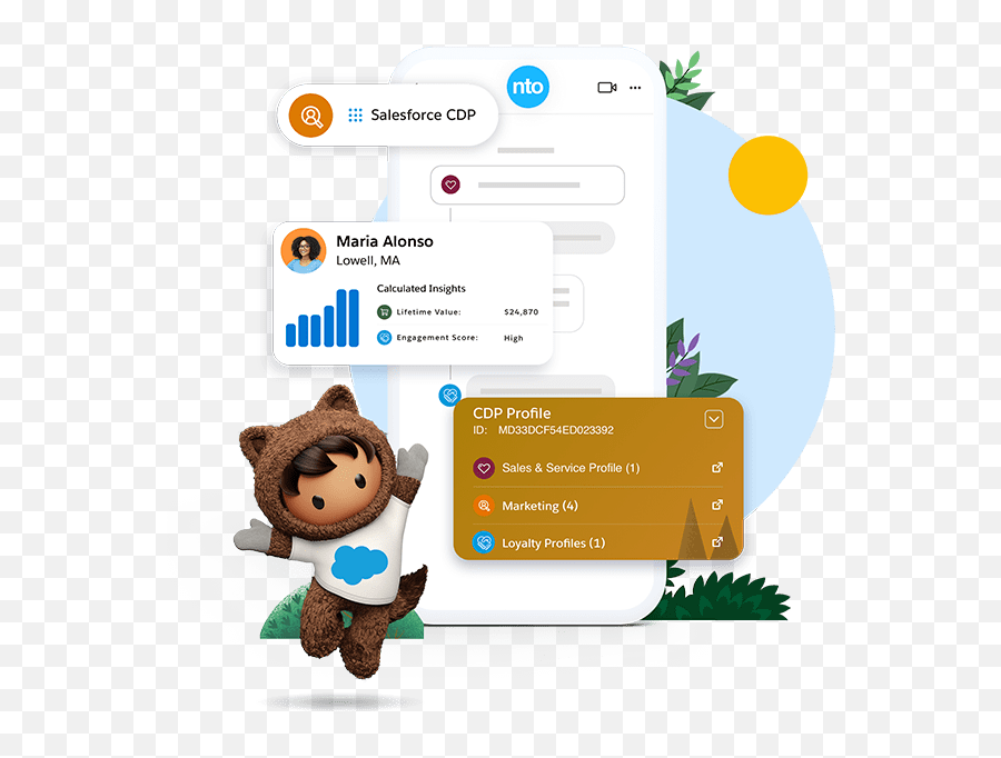 Salesforce Cdp - Salesforcecom Salesforce Cdp Png,Customer Profile Icon