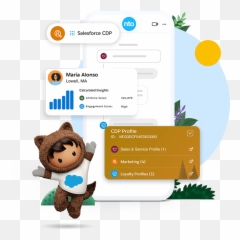Salesforce Cdp - Salesforcecom Salesforce Cdp Png,Customer Profile Icon