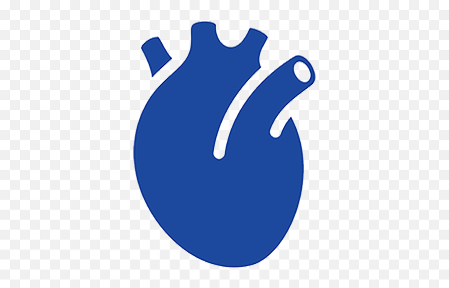 Cardiorenal Syndrome Manabe Lab Png Organ Icon