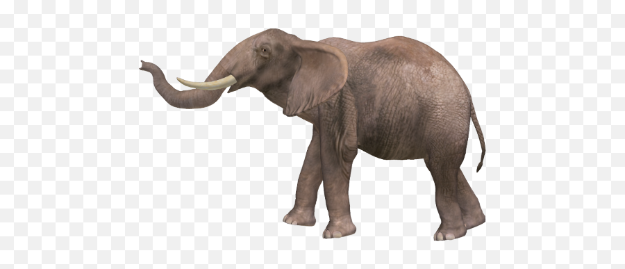 Elephant Png Pic - Png Images Of Elephant,Elephant Png