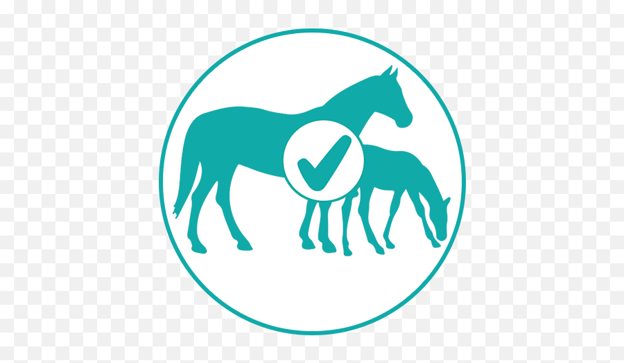 Vitalize Alimend Gastric Health Supplement For Horses - Mare And Foal Silhouette Free Png,Horses Icon