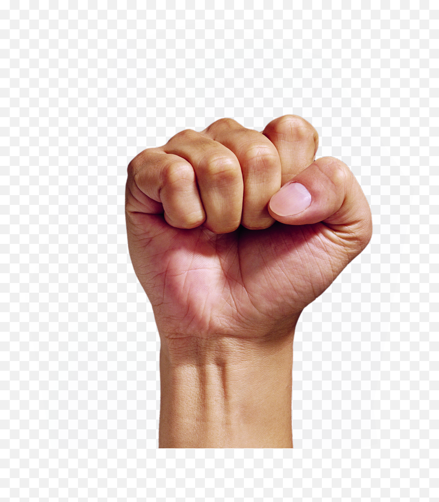 Download Arm Fist Png - Transparent Fist Png,Fist Png