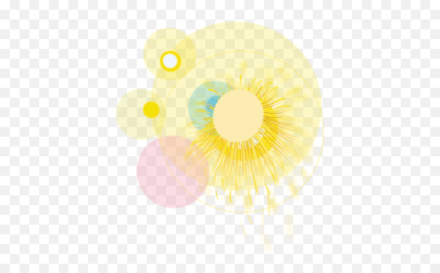 Yellow Bright Party Firework - Transparent Png U0026 Svg Vector File Fogos De Artificio Amarelo Png,Bright Light Png