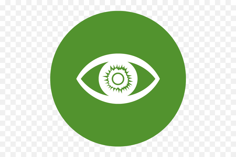 Contact Lenses Ou0027farrell Opticians Laois Png Icon