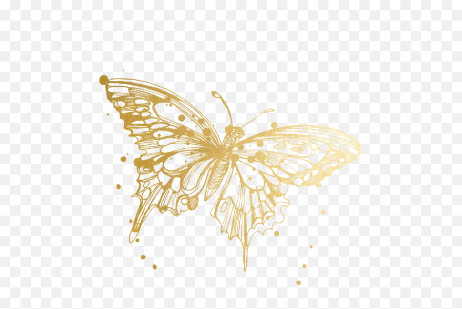 Butterfly Tattoos Temporary Accept - Transparent Gold Butterfly Png,Butterfly Tattoo Png