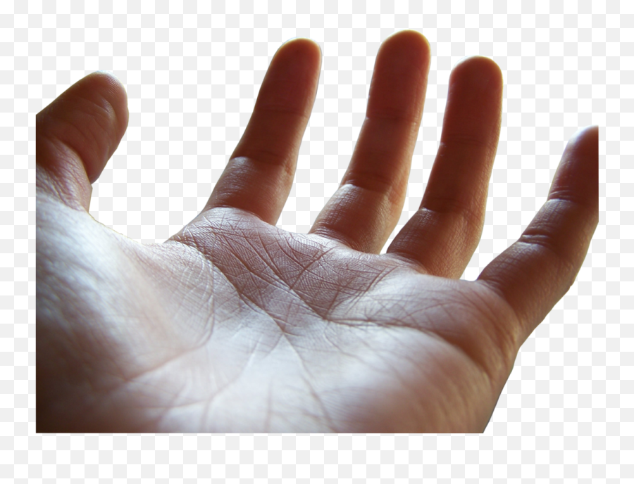 Open Palm Transparent Png Clipart - Open Hand Palm Up,Hand Palm Png