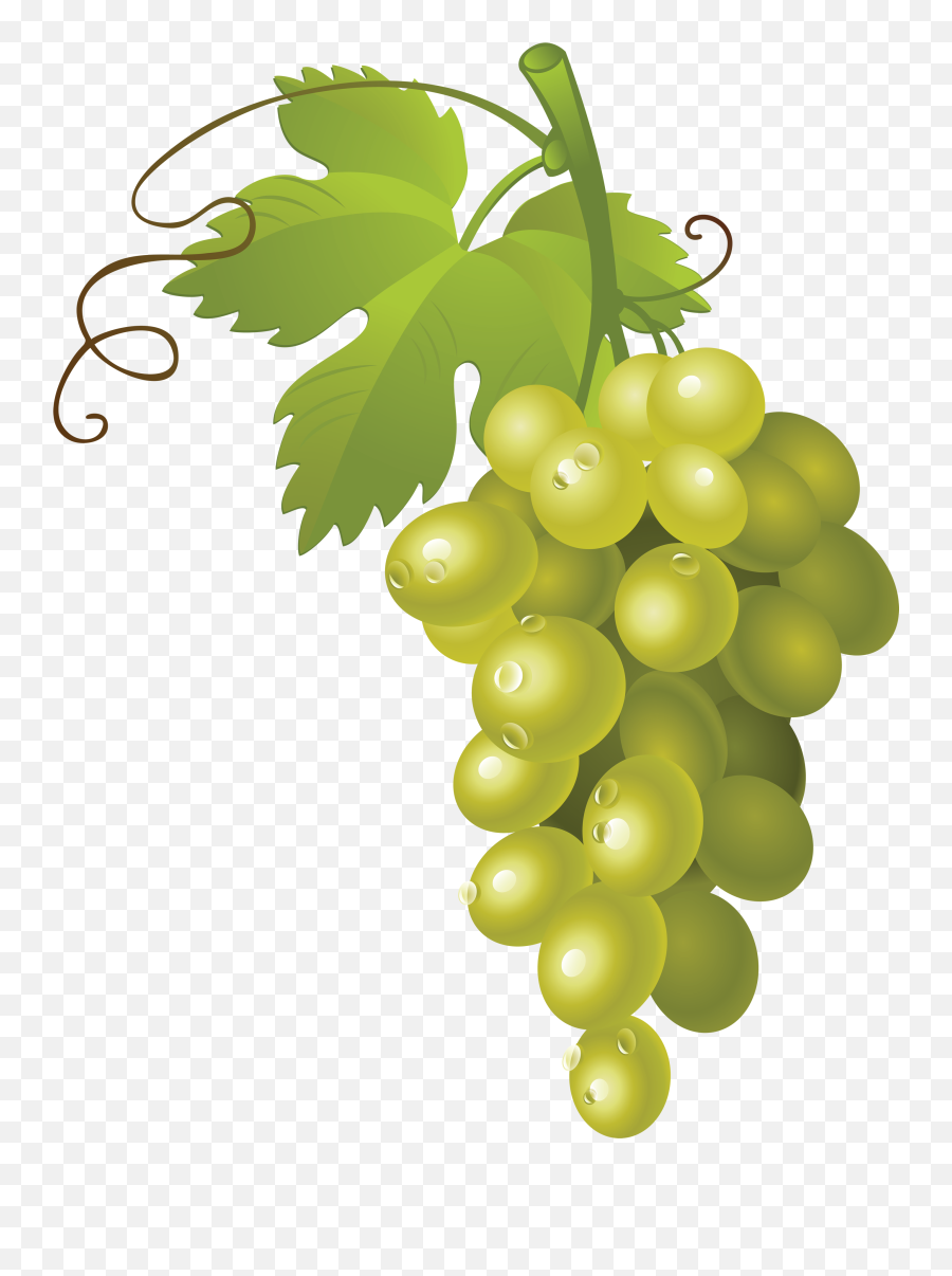 Download Grapes Png Image For Free - Green Grapes Clip Art,Grapes Png