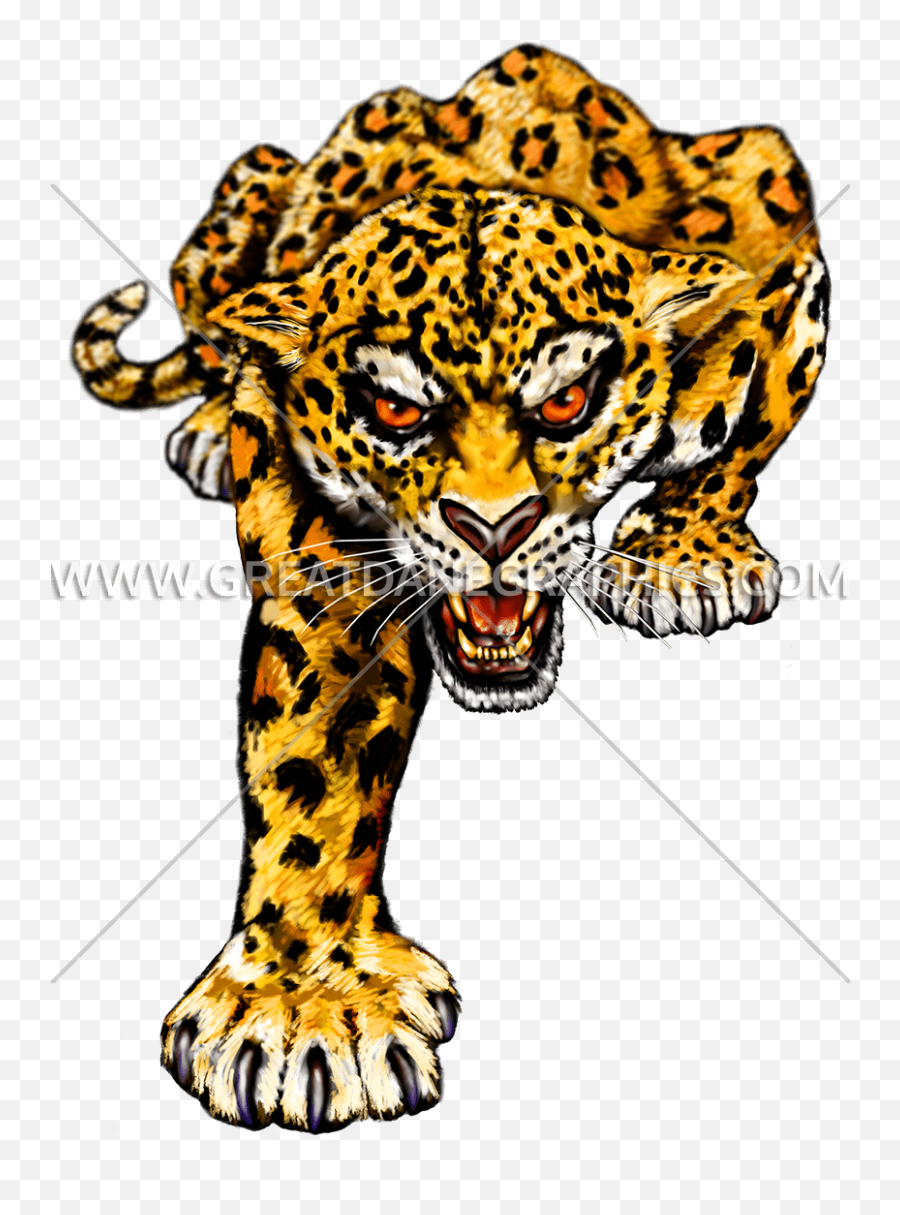 Hq Jaguar Png Transparent Jaguarpng Images Pluspng - Onça Pintada