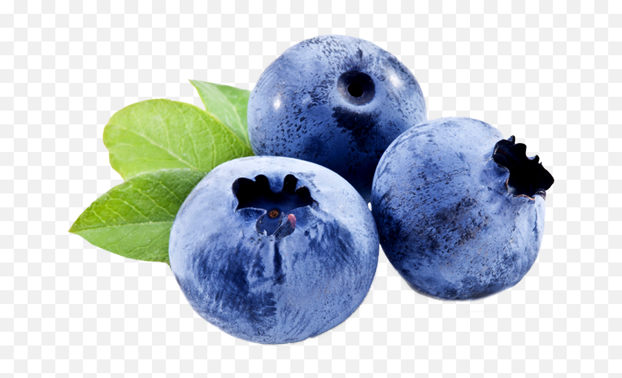 Berry Vector Transparent U0026 Png Clipart Free Download - Ywd Single Blueberry Vector Transparent,Blueberries Png