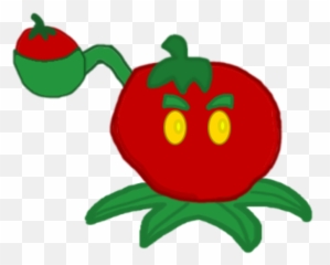 Plants Vs - Clip Art Png,Tomato Slice Png
