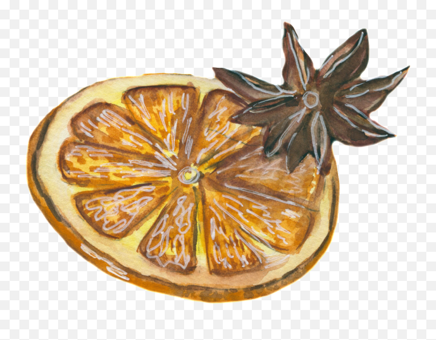 Cartoon Realistic Lemon Slice Png - Rangpur,Lemon Slice Png