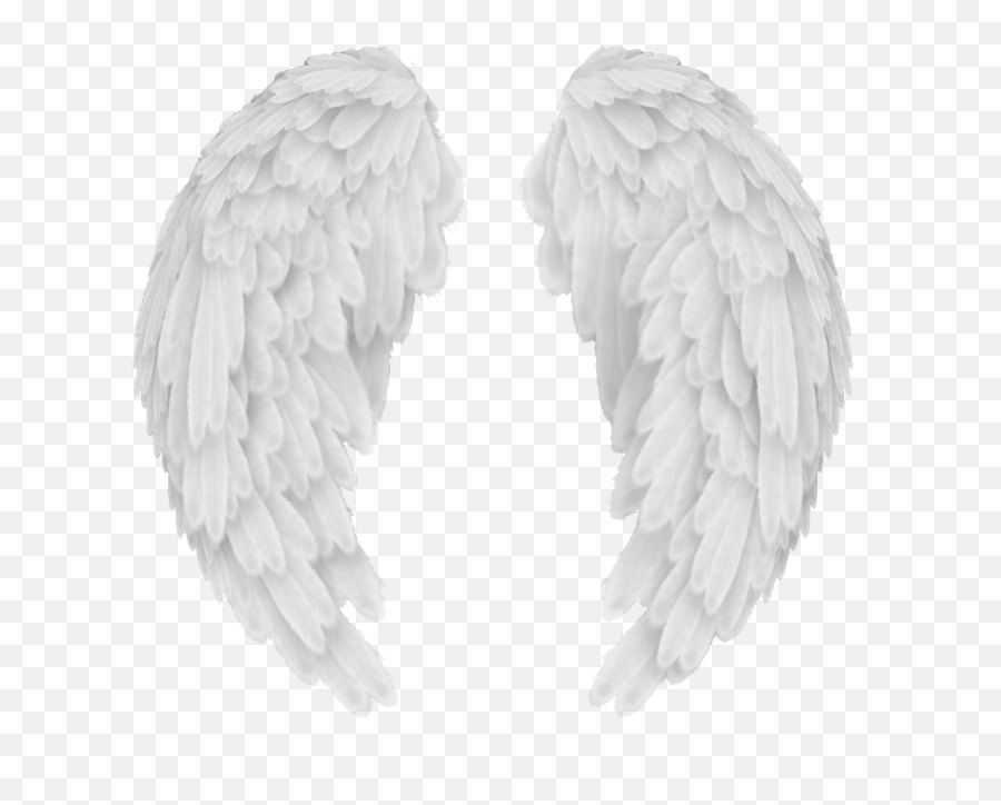 Angel Wings Png Transparent - Transparent Background Angel Wings Png Transparent,Angel Wings Png Transparent