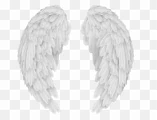 Angel Wings Png Transparent - Background