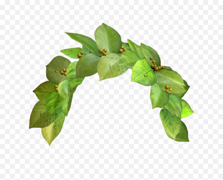 Snapchat - Green Flower Crown Transparent Png,Flower Crown Transparent