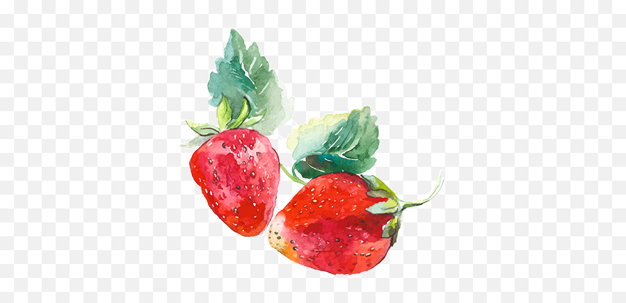 Download Babydoll Sparkling Blush - Watercolor Strawberry Watercolor Strawberry Transparent Background Png,Strawberry Transparent Background