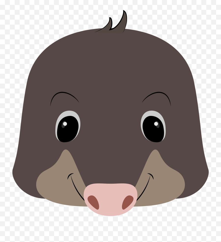 Mole Face Clipart Free Download Transparent Png Creazilla - Cartoon,Mole Png