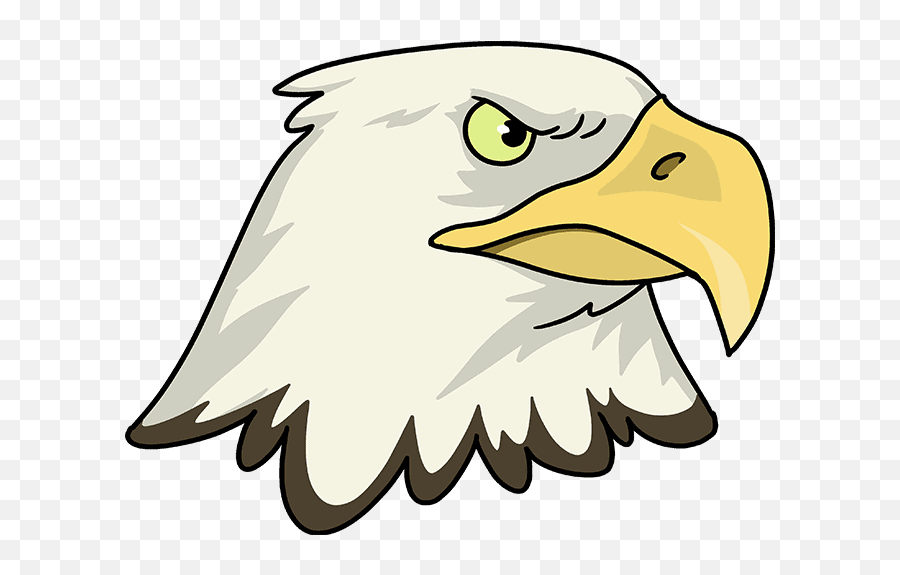 How To Draw An Eagle Head - Really Easy Drawing Tutorial Draw A Eagle Head Png,Bald Eagle Head Png