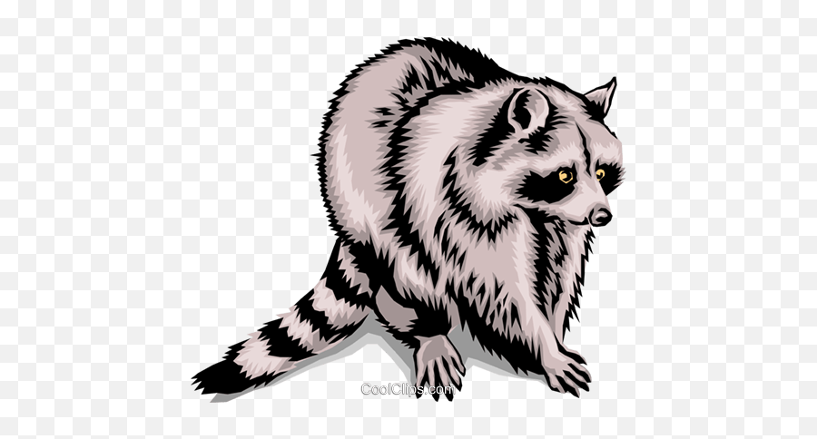 Raccoon Royalty Free Vector Clip Art - Raccoon Clip Art Png,Raccoon Transparent Background