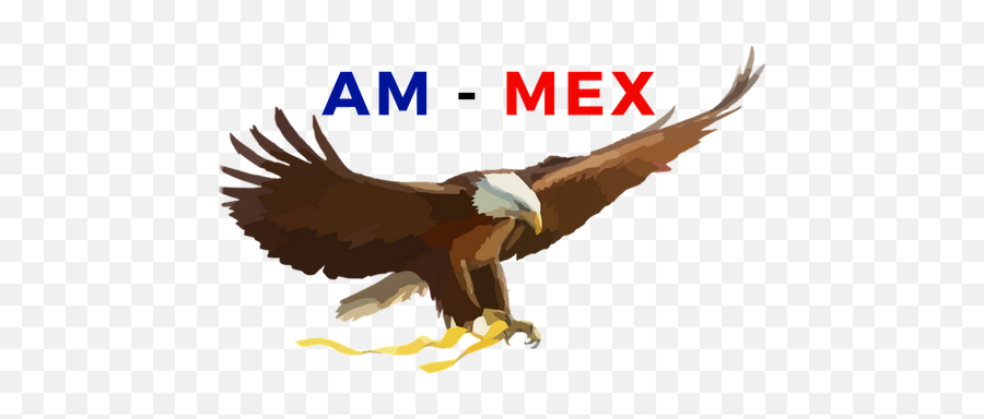 Am - Mex Ravenwood Media Transparent Eagle Cartoon Png,Mexican Eagle Logo