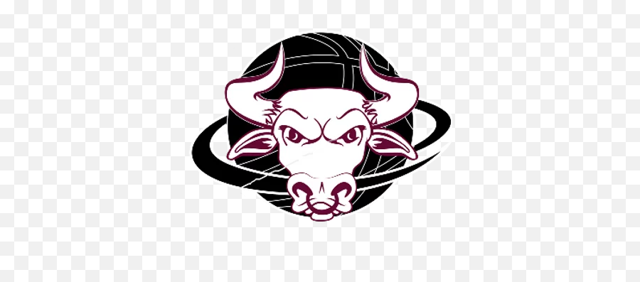 Cqbl Bundaberg Basketball Central Qld League - Bull Head Clip Art Png,Bulls Logo Png