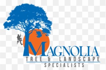 Magnolia Tree U0026 Landscape Specialist New Windsor Md - Language png