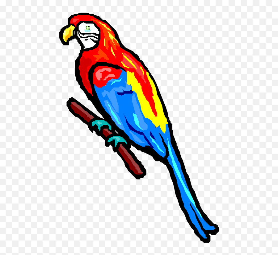 Parrot Clipart - 1017 Chuck Fm1017 Chuck Fm Jimmy Buffet Parrot Clipart Png,Jimmy Buffett Logo