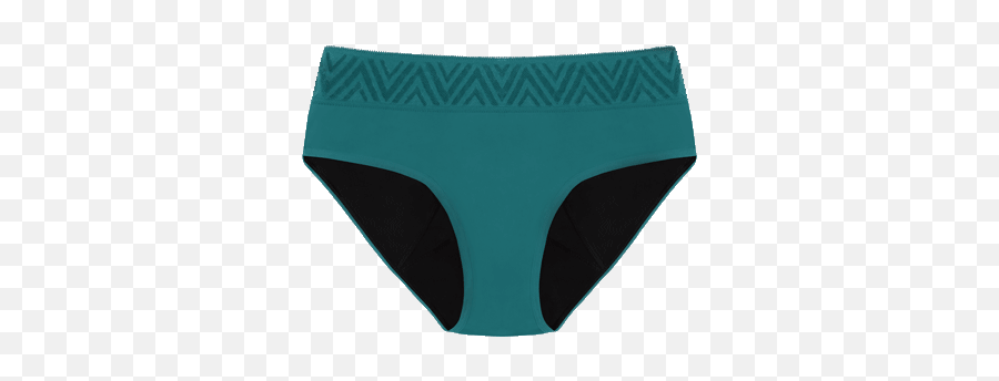 Hiphugger Panties - Solid Png,Icon Thinx Underwear