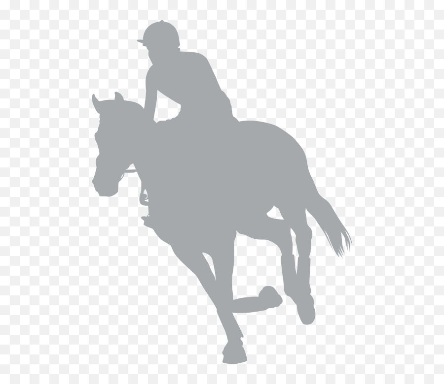 Prodotti - Amerigosaddles Png,Horse Rider Icon