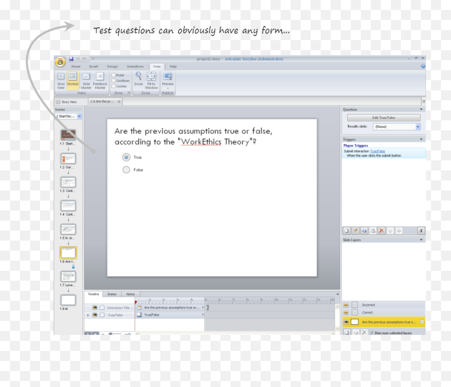 Using Articulate Storyline U0026 Scorm With Talentlms - Vertical Png,True False Icon