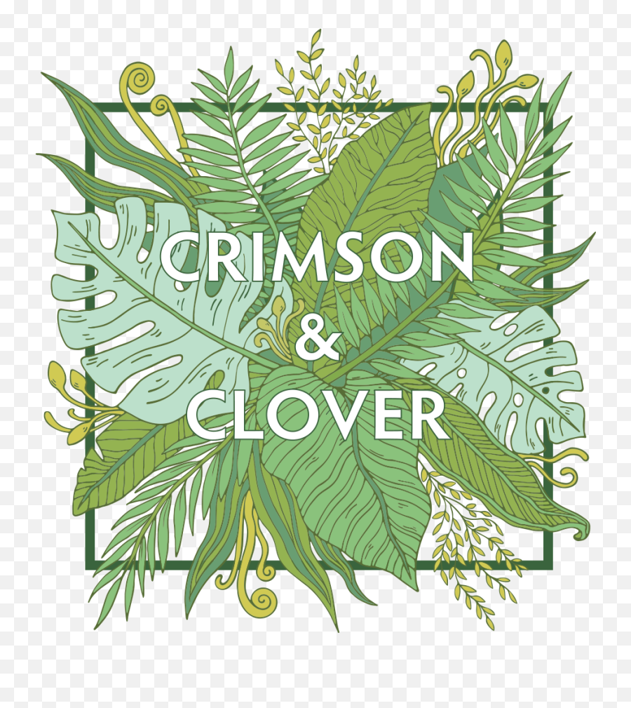 Crimson U0026 Clover Floral Design U2014 Baltimoreu0027s Most Coveted Png Plant