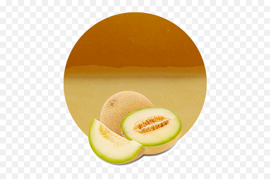 Honeydew Melon Concentrate - Melon Png,Cantaloupe Png