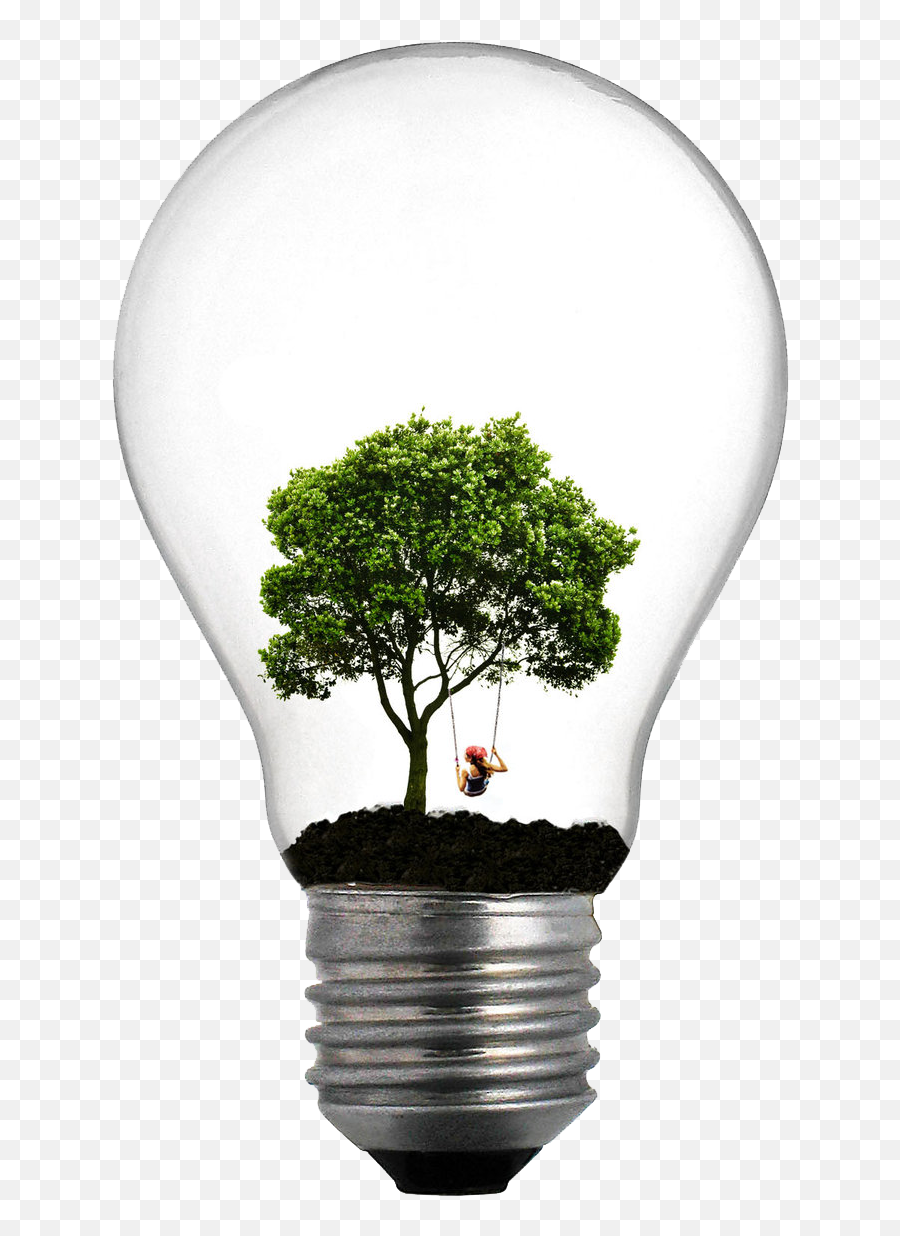 Incandescent Light Bulb Tree Lamp Png