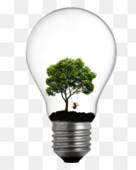 Incandescent Light Bulb Tree Lamp Png