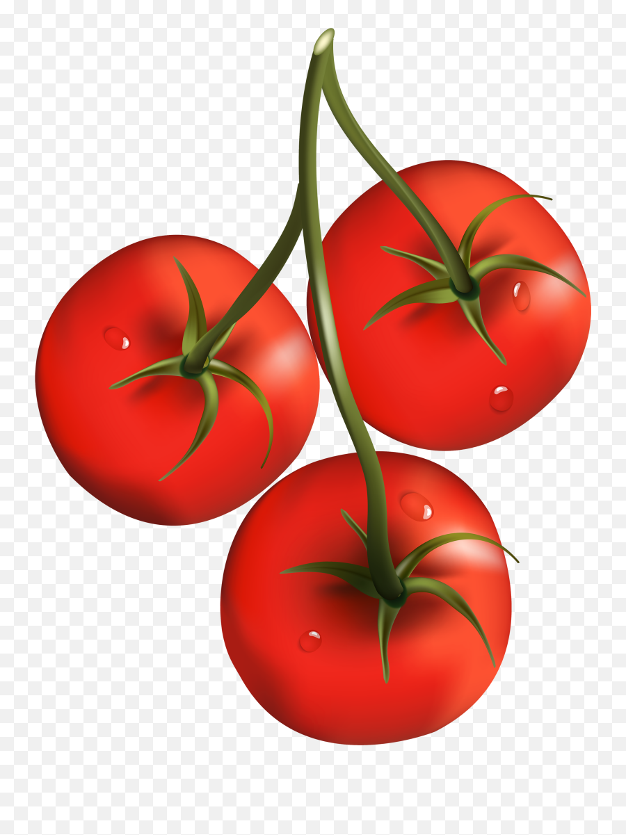 Red Tomato Clipart - Tomatoes Clipart Png,Tomato Slice Png