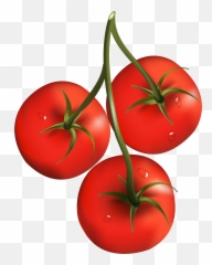 Red Tomato Clipart - Tomatoes Clipart Png,Tomato Slice Png