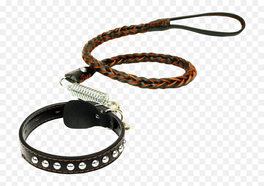 Beautiful Dog Chain Rope Pet Leash - Dog Chain Png Hd,Leash Png