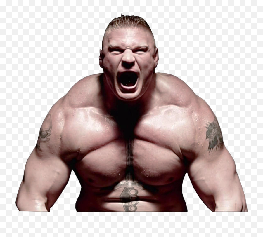 Brock Lesnar - Famous People In South Dakota Png,Brock Lesnar Transparent