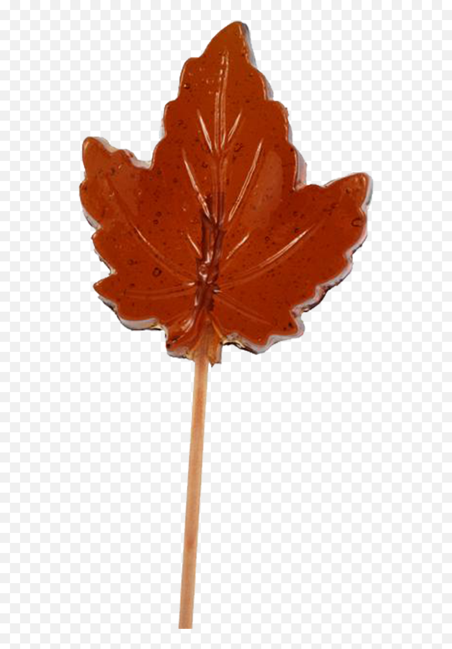 Maple Leaf Lollipop - Maple Leaf Png,Maple Syrup Png