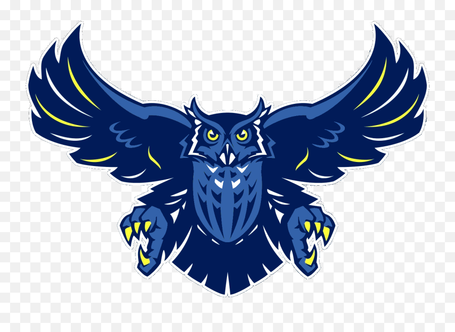 The Hale Center Owls - Charter School Of Educational Excellence Logo Png,Owl Logo