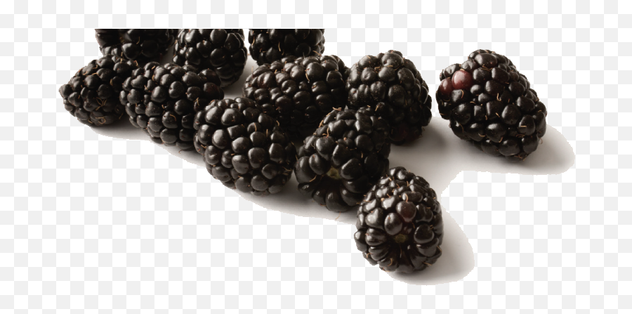 Black Raspberries Png Free Download - Black Raspberry Hd,Raspberries Png