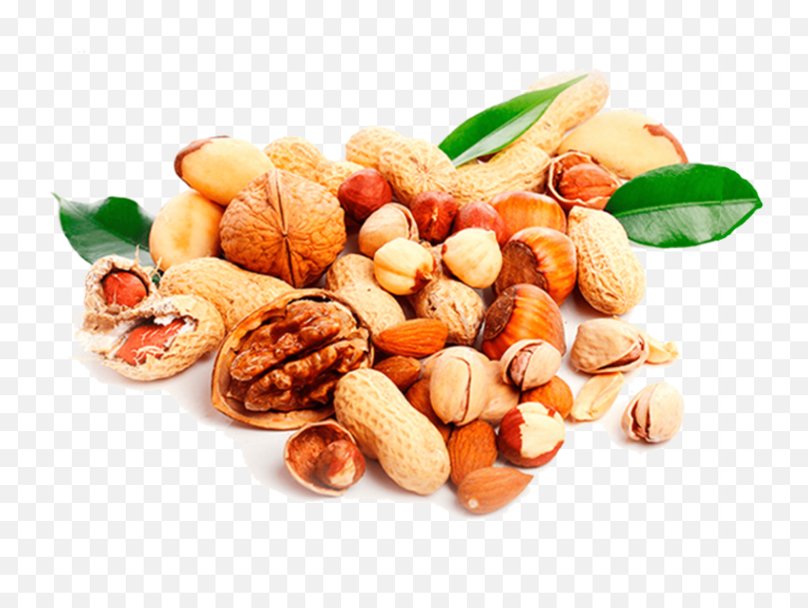 Nuts Transparent Diet Hd Png