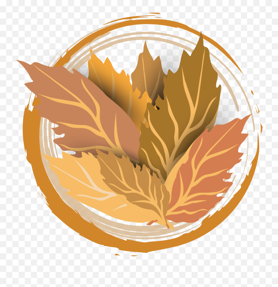 Download Tobacco Png Image For Free - Tobacco Leaves Vector Png,Tobacco Png