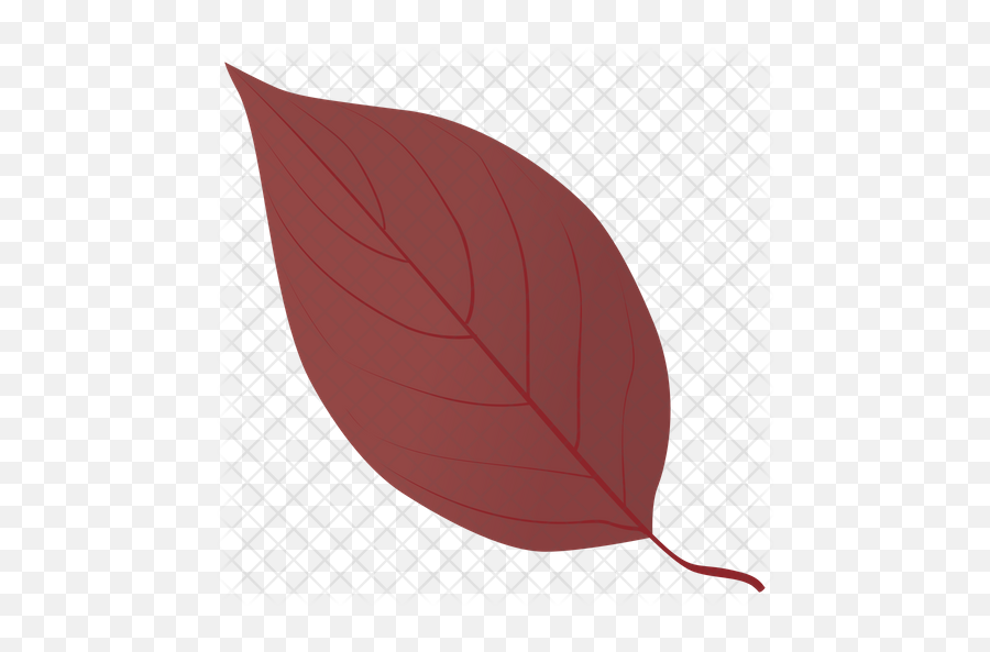 Dogwood In Fall Icon Of Flat Style - Illustration Png,Dogwood Png
