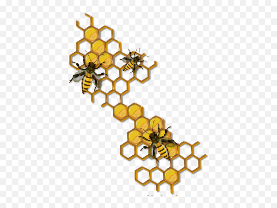Tubes Printemps - Bee Honey Comb Clip Art Png Download Bee And Honey Drawing,Honey Comb Png