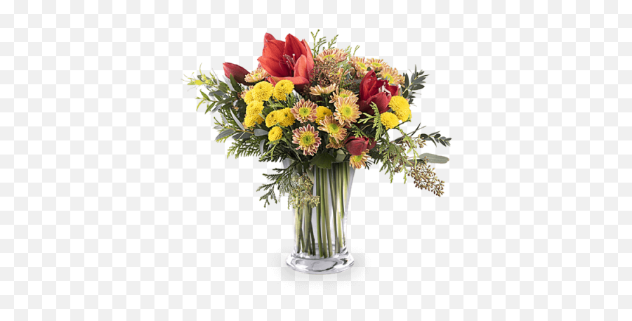 Download Hd Red Amaryllis And Chrysanthemum - Chrysanthemum Bouquet De Fleur Bohème Png,Chrysanthemum Png