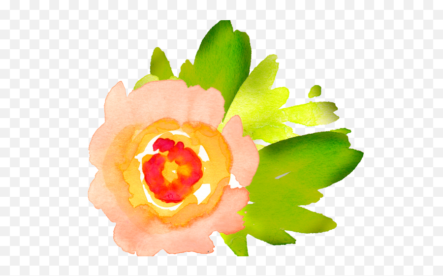 Orange Flower Clipart Individual - Png Download Clip Art Watercolor Flower Transparent Background,Orange Flower Png
