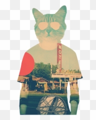 Cool Cat T - Shirt Poster Png,Cool Cat Png