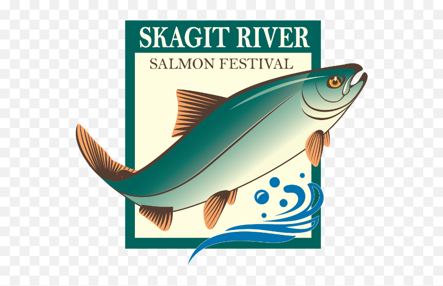 Skagit River Salmon Festival - Home Skagit River Salmon Festival Png,Salmon Transparent