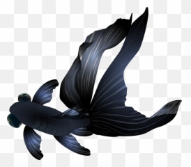 Black Goldfish Png Transparent Clip Art